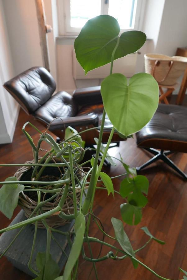 شقة The Sunshine Loft ليفورنو المظهر الخارجي الصورة